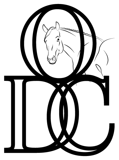 Logo Riders Academy